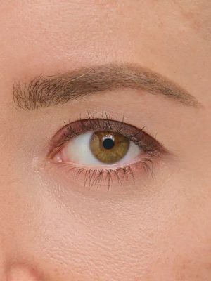 LINE ARTIST: THE FULL LINEUP