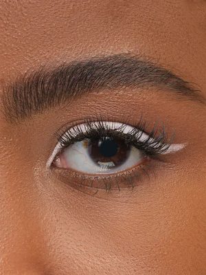 LINE ARTIST: THE NEUTRALS