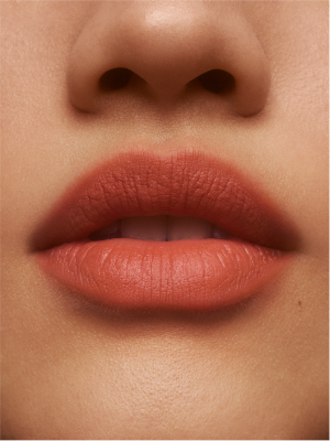 BLURRED MATTE LIP PLUMP