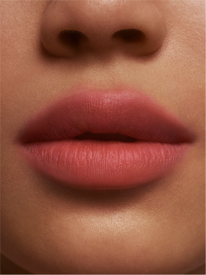BLURRED MATTE LIP PLUMP